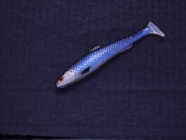 Przynęta Gumowa Kiełb Natural Blue 8 cm